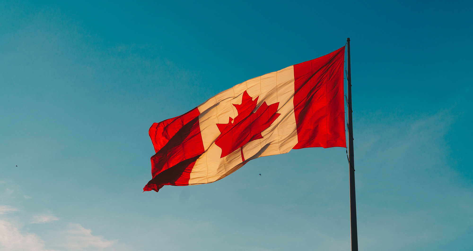 What you Need to Know About Legal Canadian Cannabis