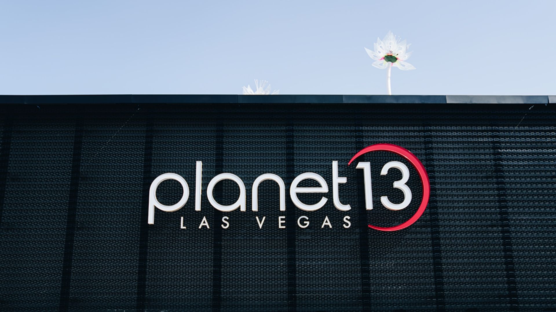 A Partnership Made In Cannabis Heaven: Cannabition & Planet 13