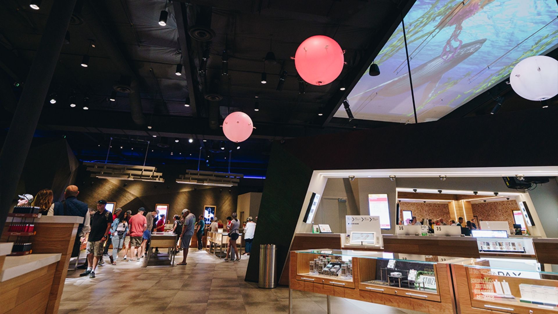 Discover The Biggest Dispensary in Las Vegas | Planet 13 Las Vegas