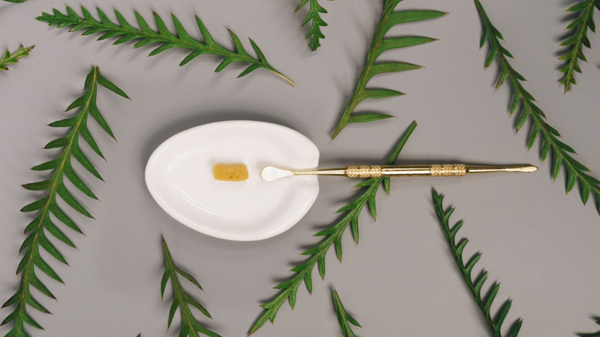 Magna Carta Holy Grail: Your Ultimate Holy Magna Carta Dab Rig Review