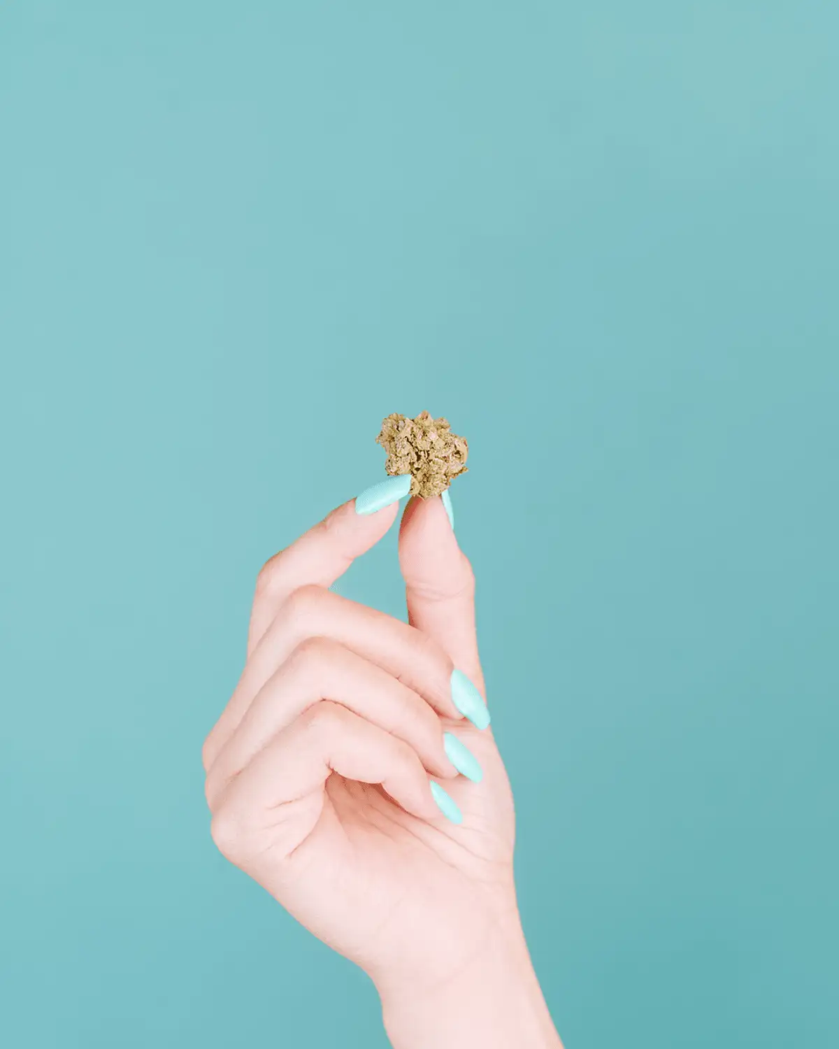 Woman holding cannabis plant