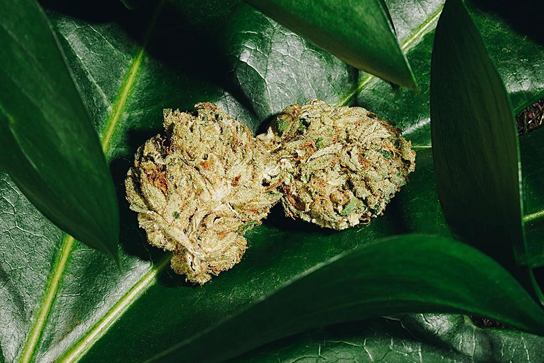 Your Genes Can Affect Your Response to Cannabis