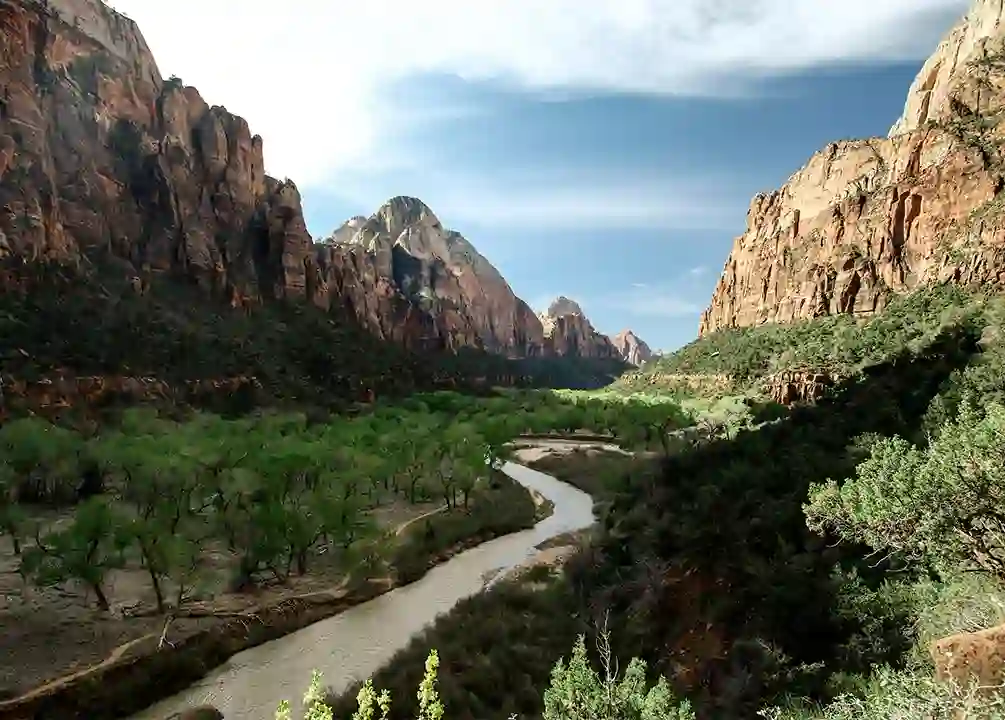 Can You Smoke Cannabis in National Parks?