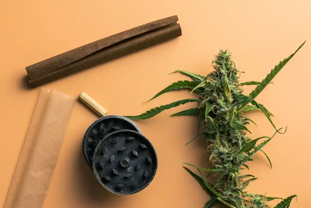 The Difference Between Joints, Blunts, and Spliffs Explained