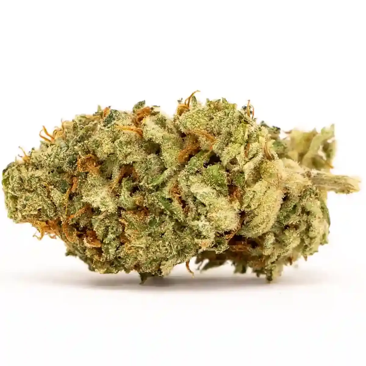 Guide to White Widow Strain