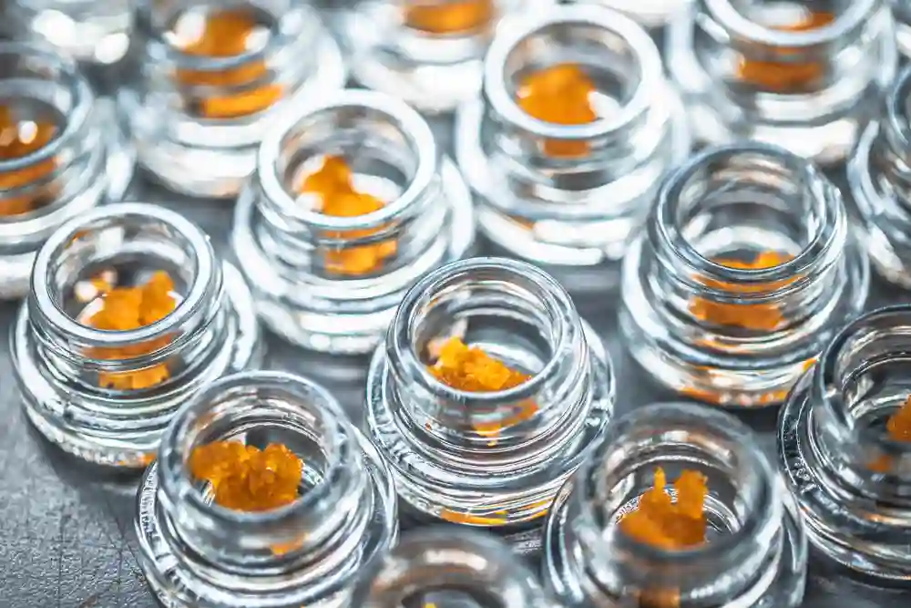 Why Live Resin Is A Cannaseurs Favorite