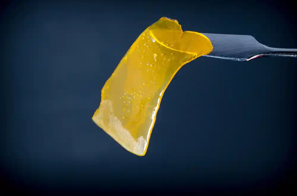 Slice of cannabis wax