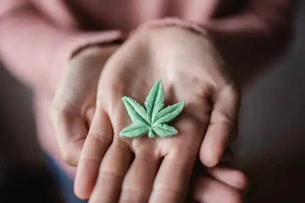 Close up of small cannabis leaf on hand