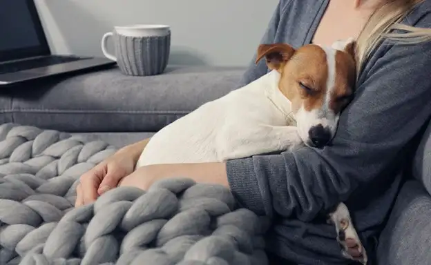 Woman holding a sleeping dog