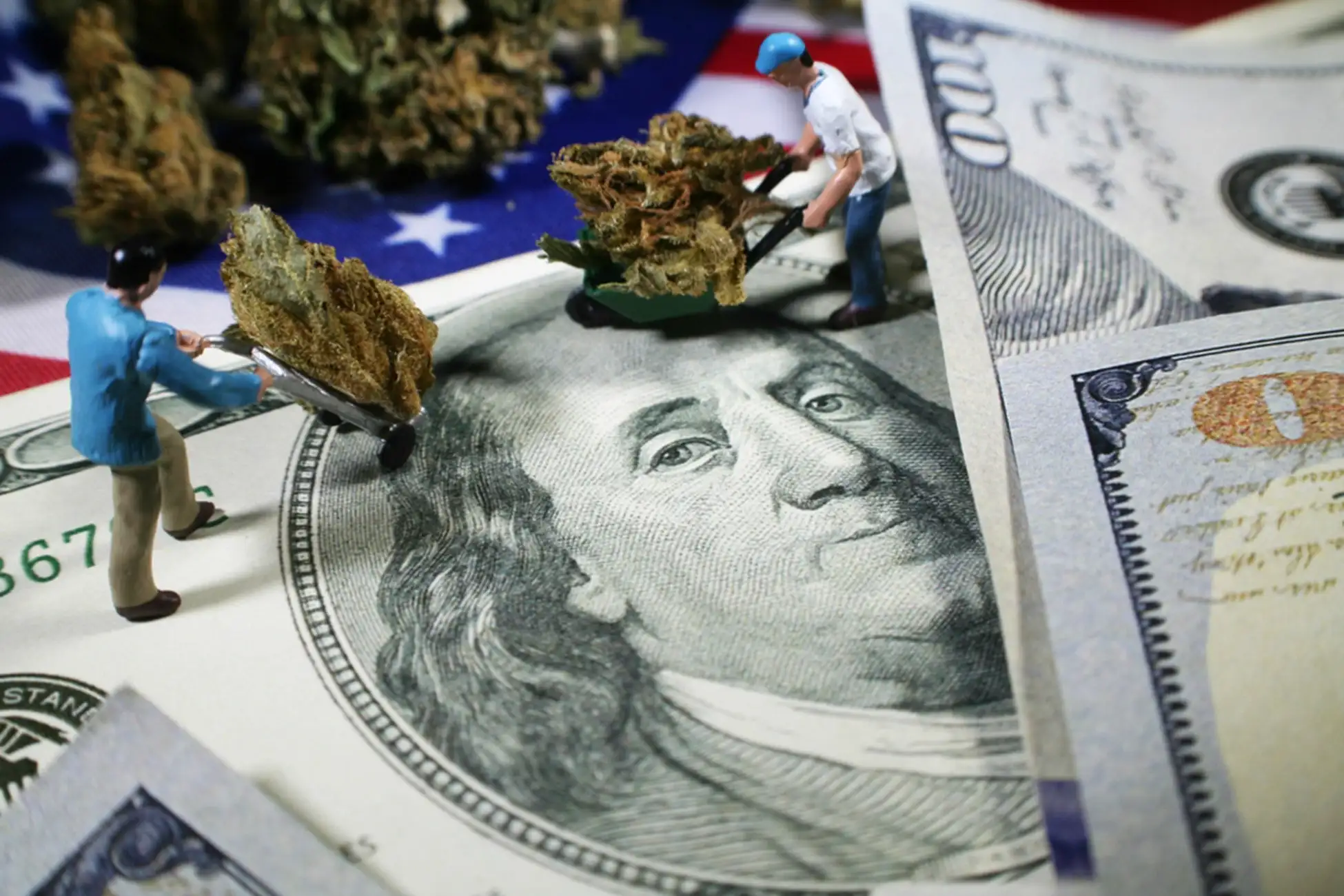 cannabis and money