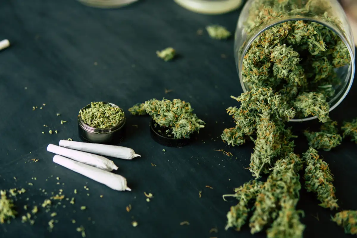 2023’s Best Cannabis Strains: Find Your Perfect Pick