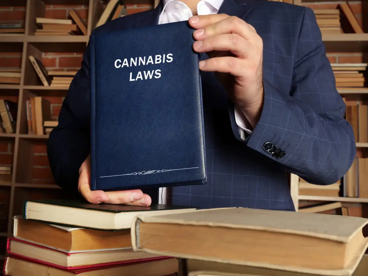 What You Need to Know About Las Vegas Legal Cannabis