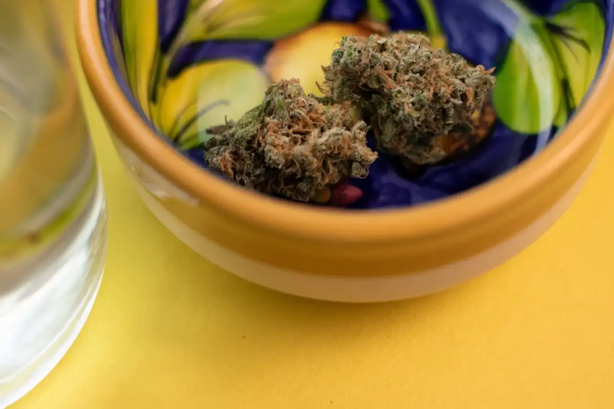 Bowl of Cannabis buds