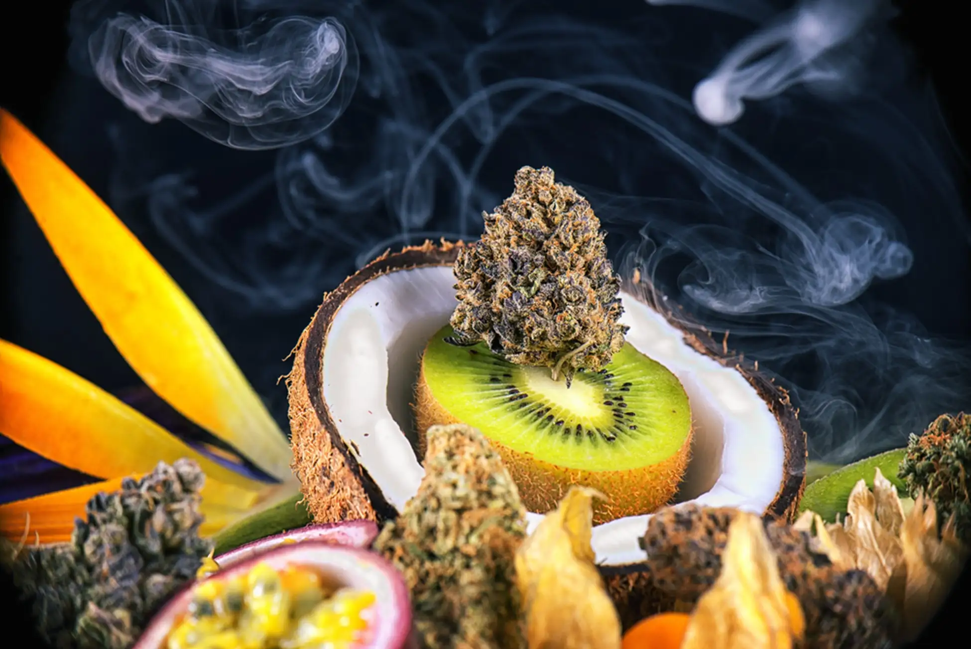 Kiwi and Cannabis buds