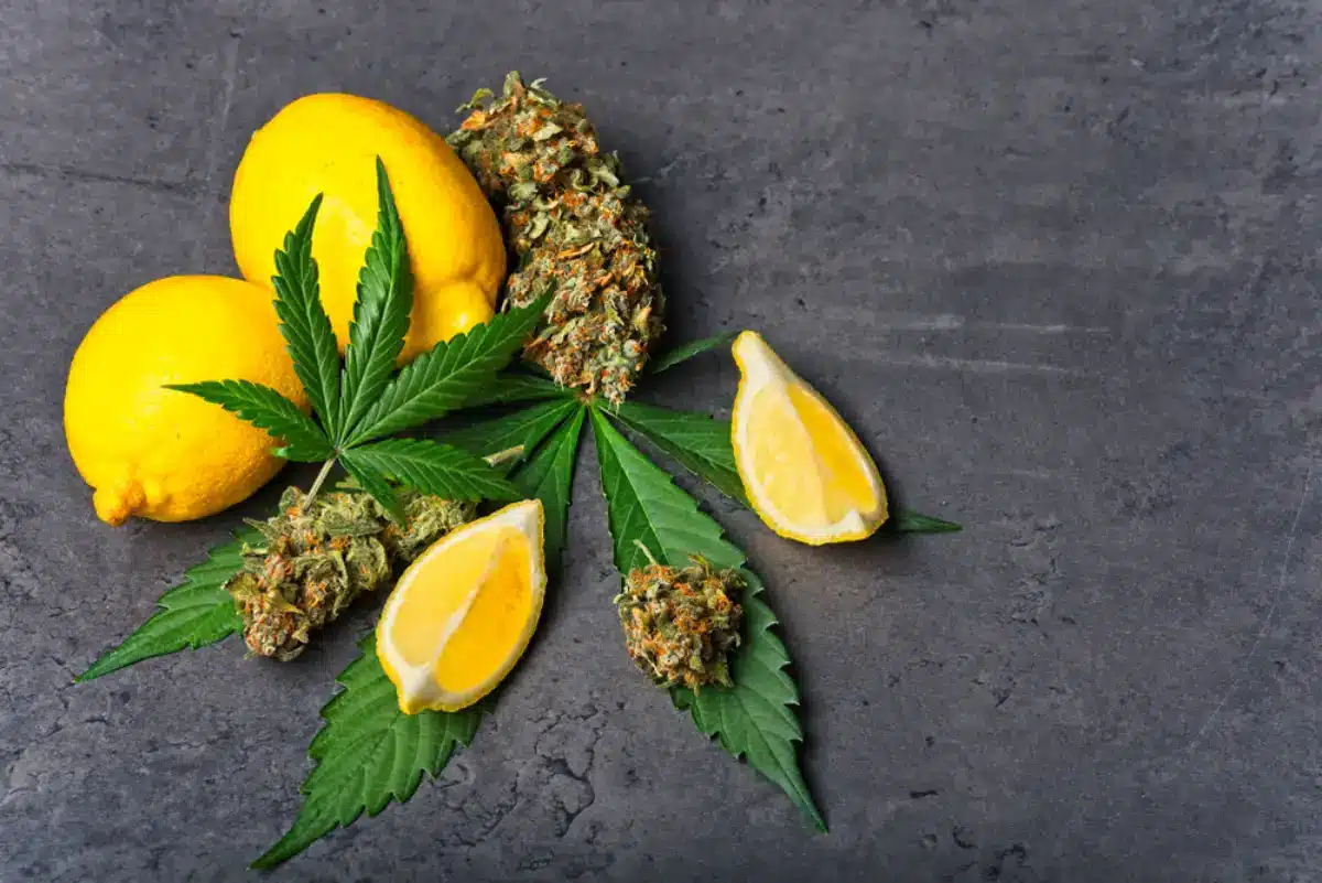 Nugs and leaves with sliced lemon