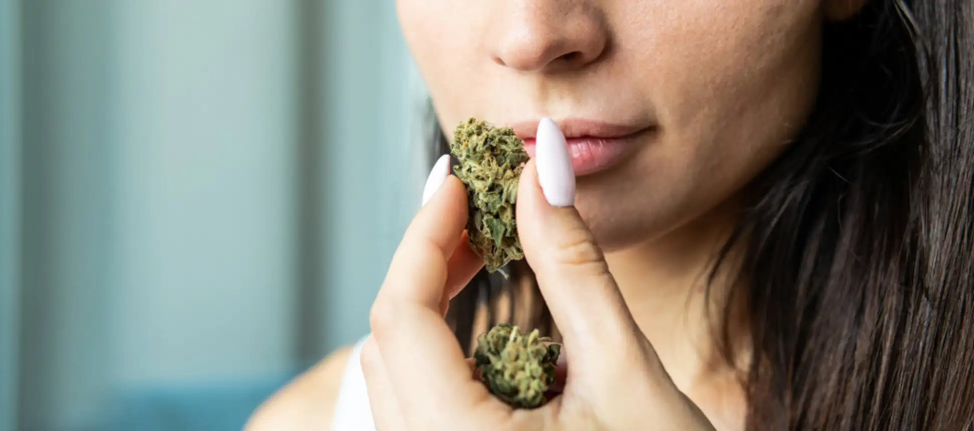 Woman smelling cannabis buds
