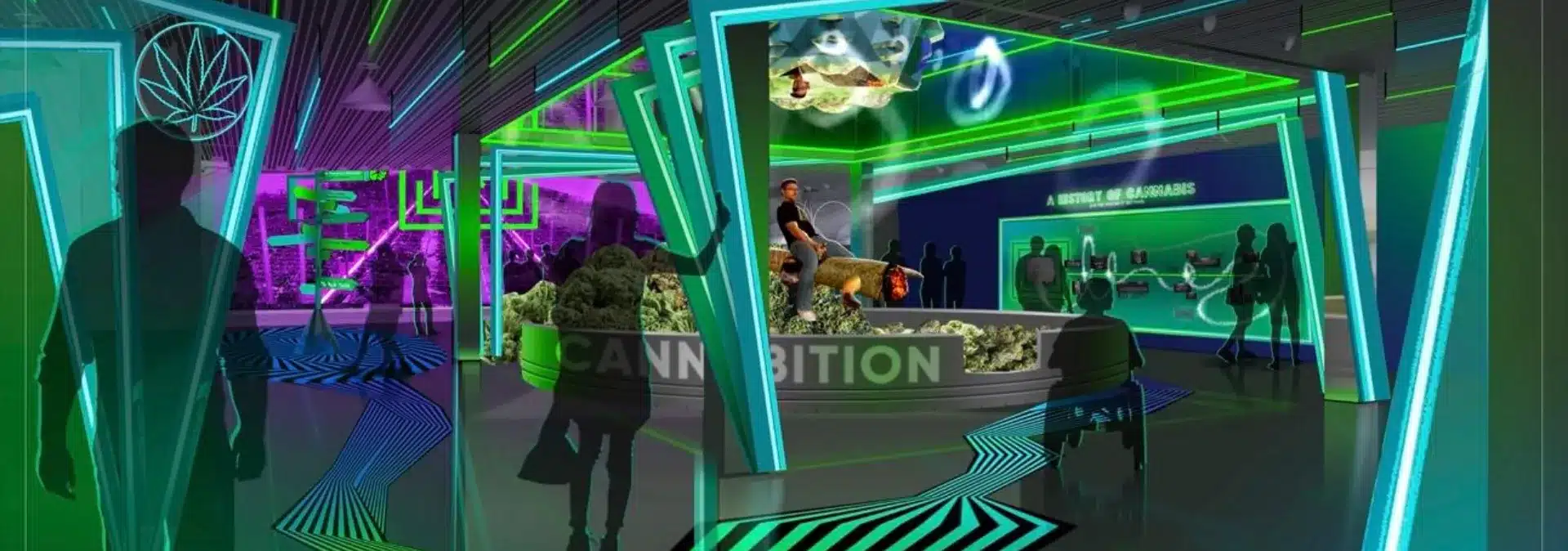 inside of CANNABITION Cannabis Museum