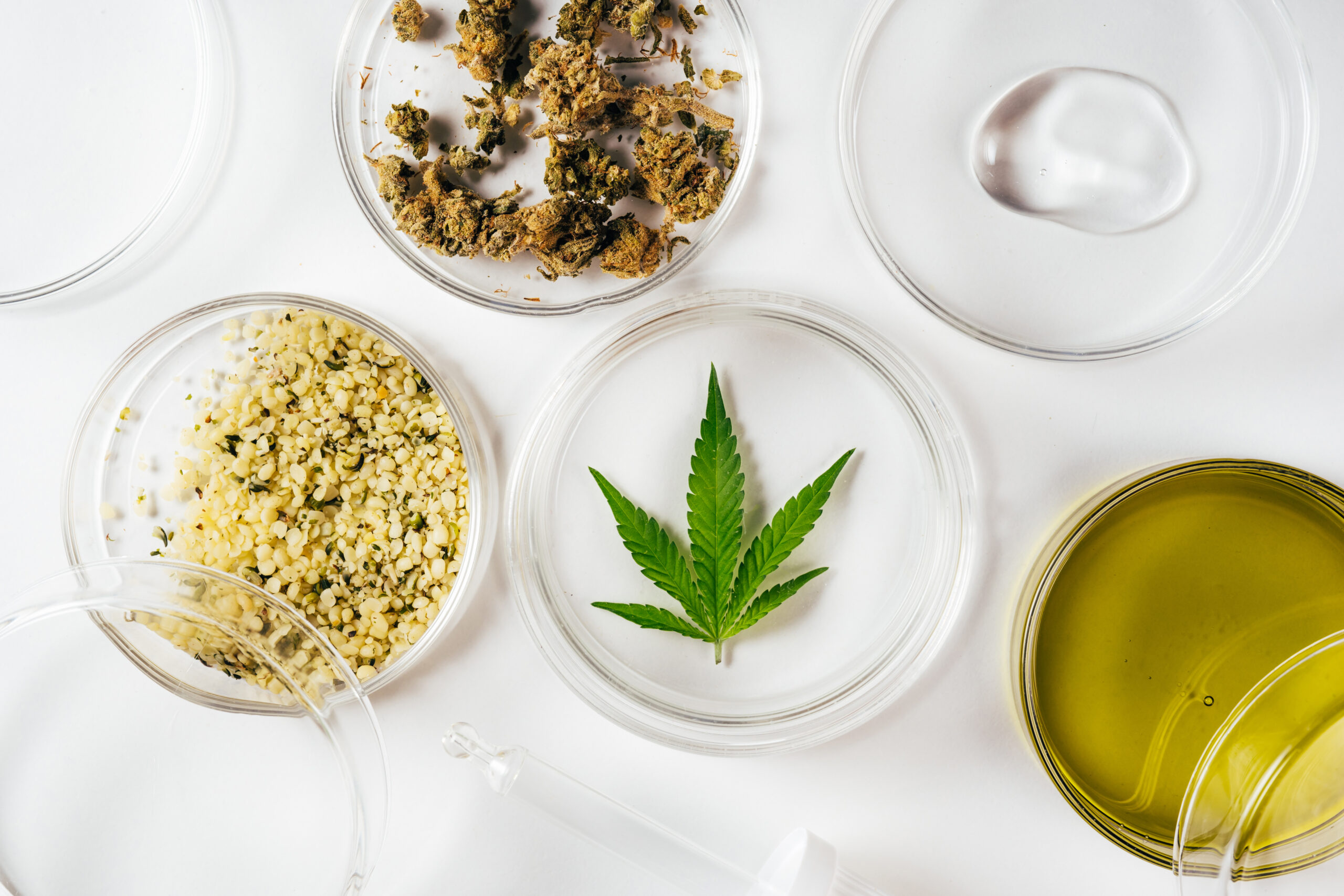 Differences Between Shatter, Wax, Crumble, and Budder