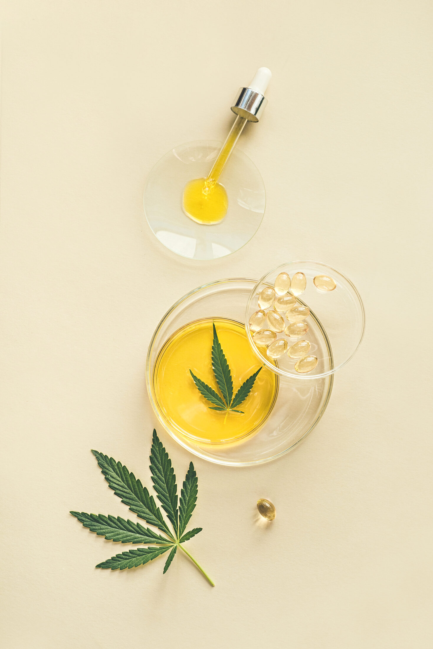 CBD oil in a pipette