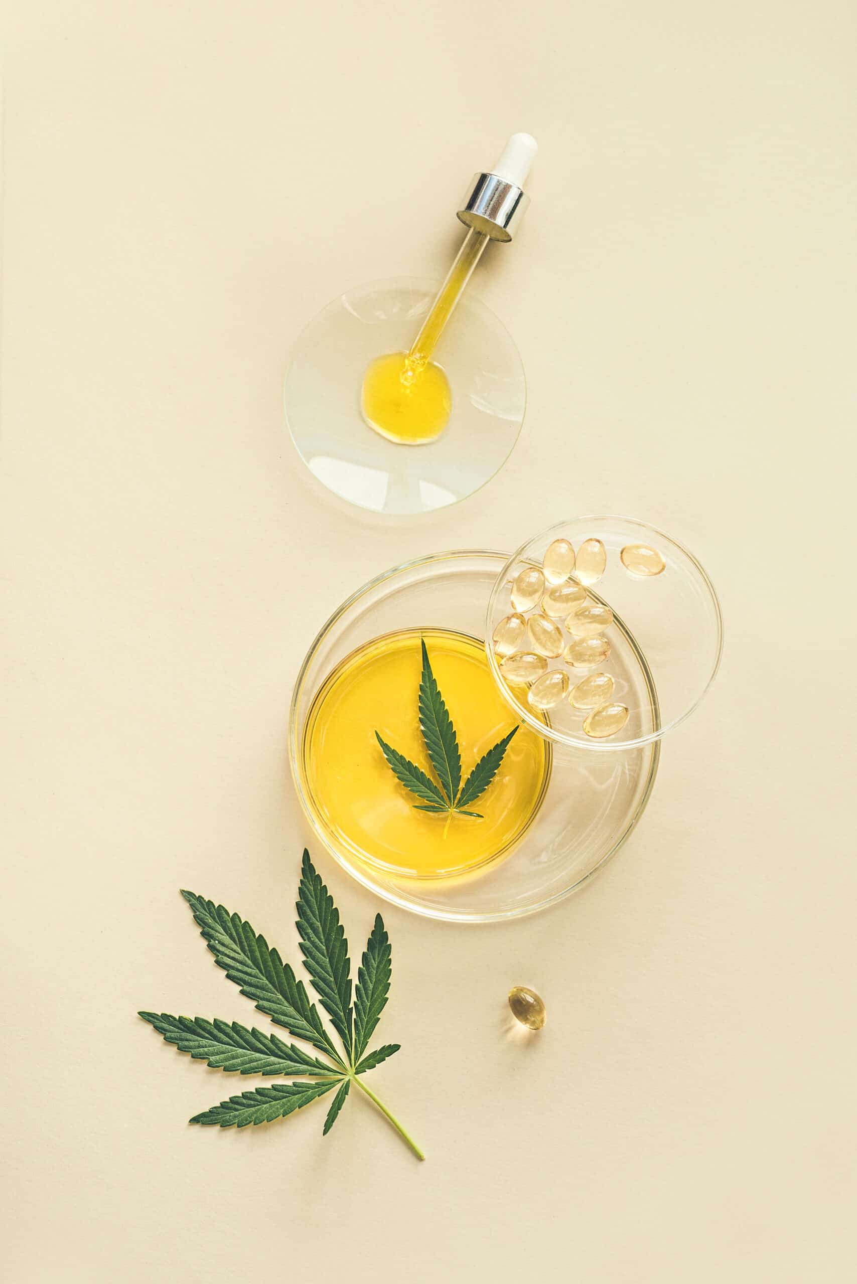 Wax Dabs & Dab Shatter: Cannabis Concentrates Explained