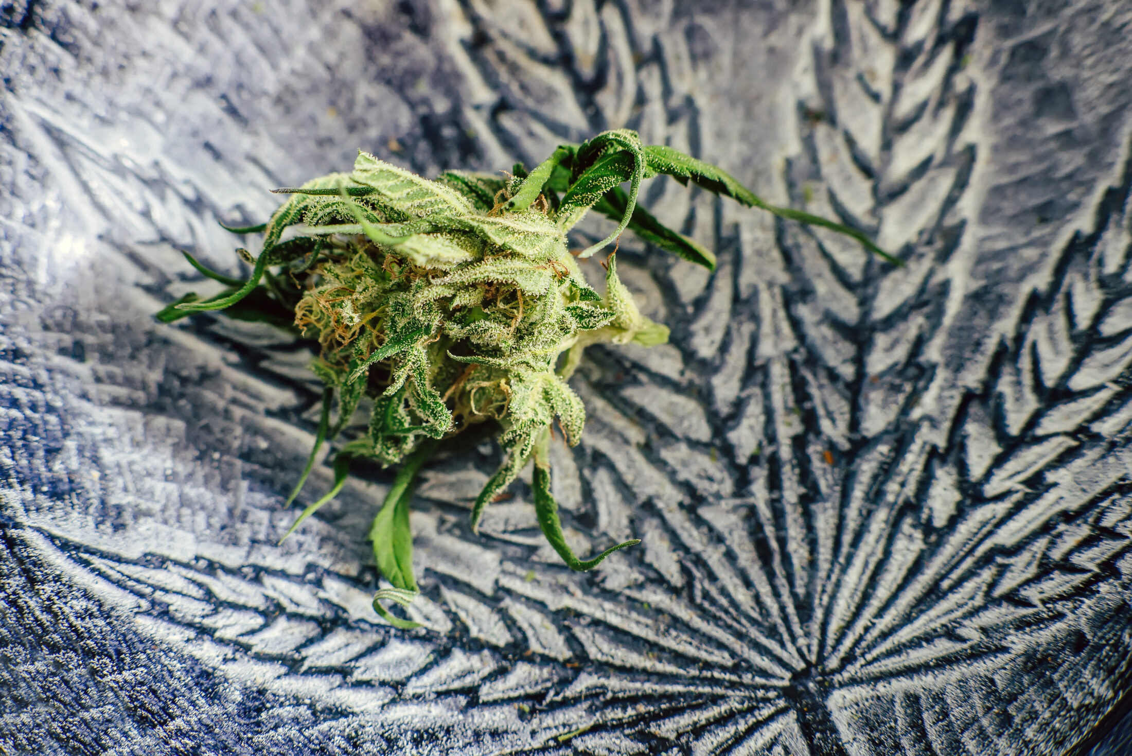 Medical marijuana