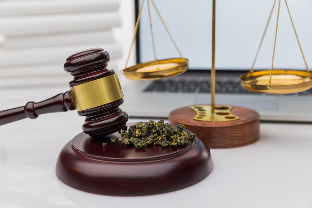 Pros and Cons of Legalizing Cannabis