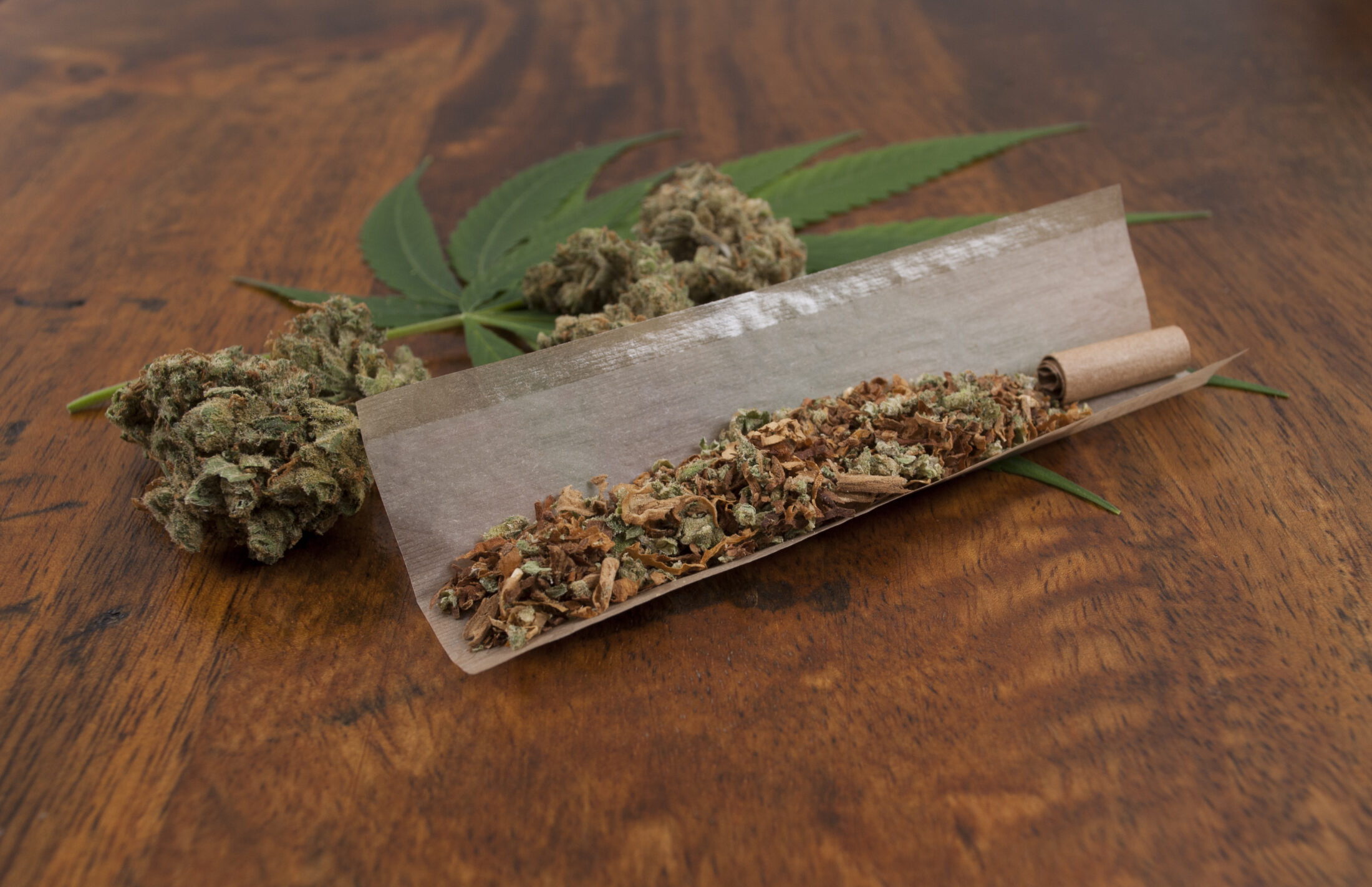 Dutch Cannabis Sativa Mixed With Tobacco