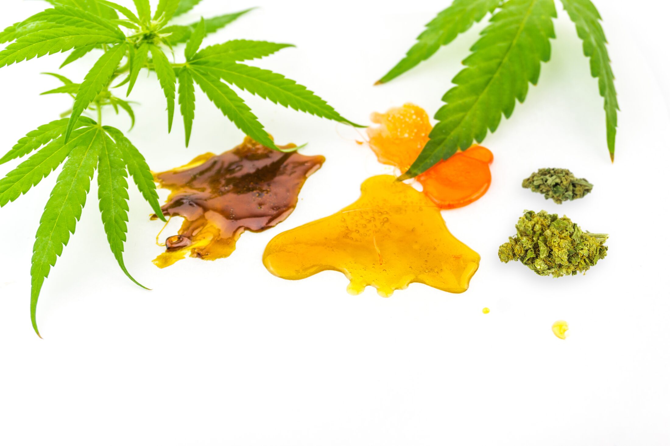 various-cannabis-cbd-and-thc-shatter-rosin-extract