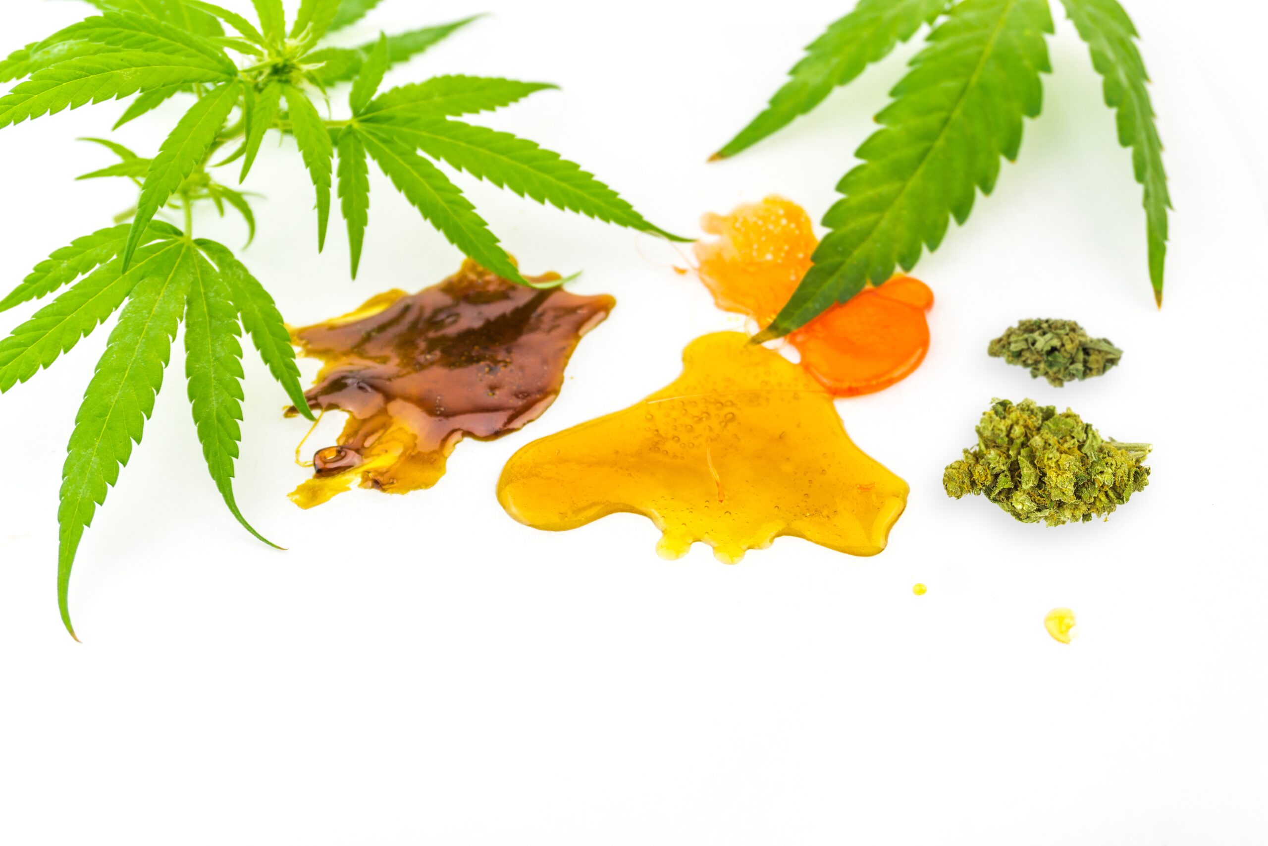 Cannabis Dabbing 101- All You Need to Know About Dabs