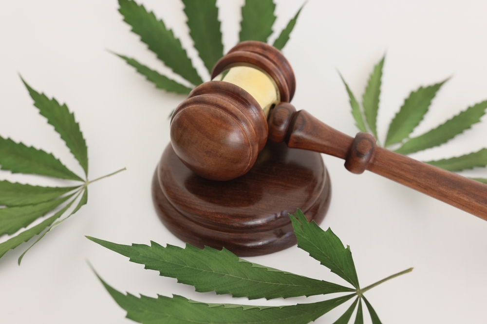 THCA and THC: What’s the Difference