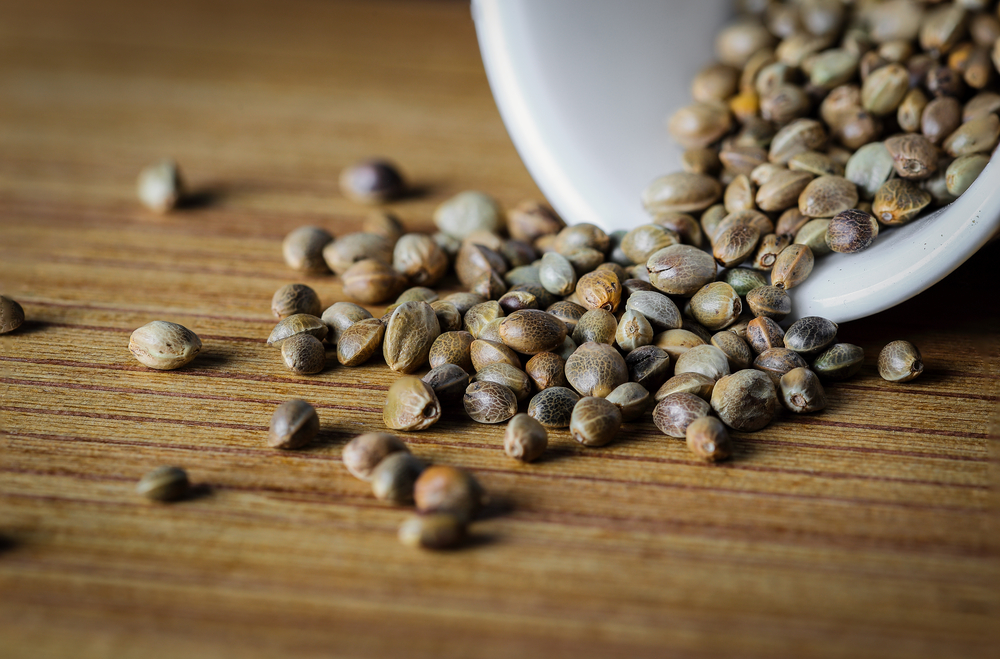 How to Store Cannabis Seeds